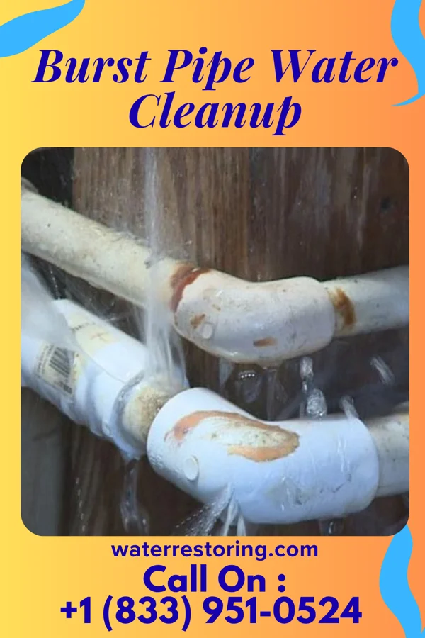 Burst Pipe Water Cleanup in Wytheville, VA