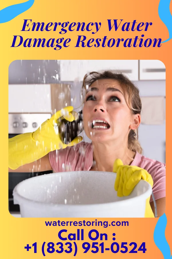 Emergency Water Damage Restoration in Wytheville, VA
