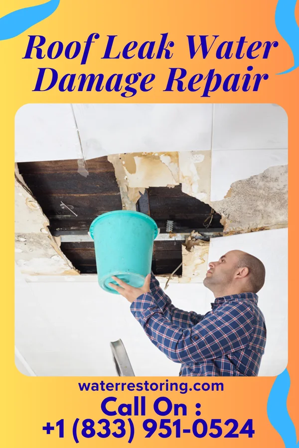 Roof Leak Water Damage Repair in Wytheville, VA