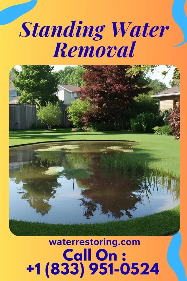 Standing Water Removal in Wytheville, VA